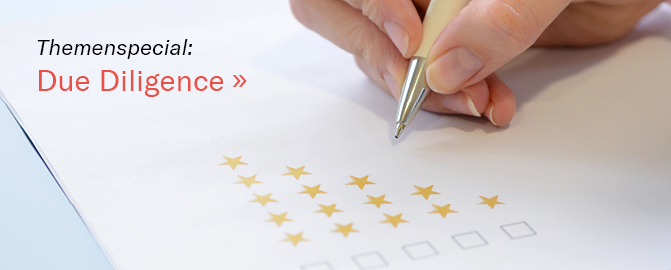 Themenspecial due diligence
