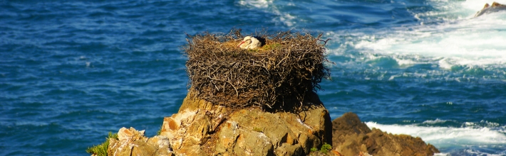 Informationssicherheit – Erfolgreiche Implementierung mittels ISO 27001:2013