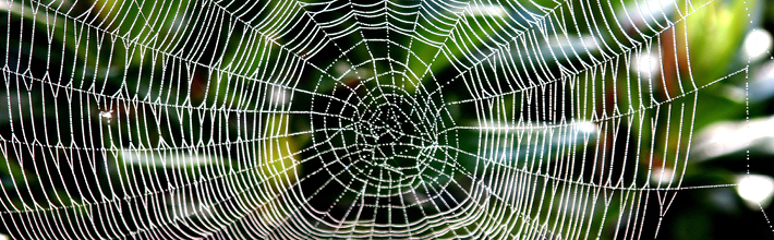 Agile und strukturierte Datenanalyse in Konzernstrukturen - Kein Widerspruch