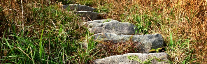 strukturierte Nachfolgeplanung