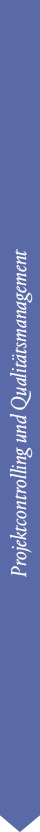 Projektcontrolling und Qualitätsmanagement