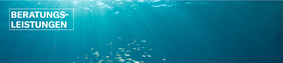 Banner Beratungsleistungen
